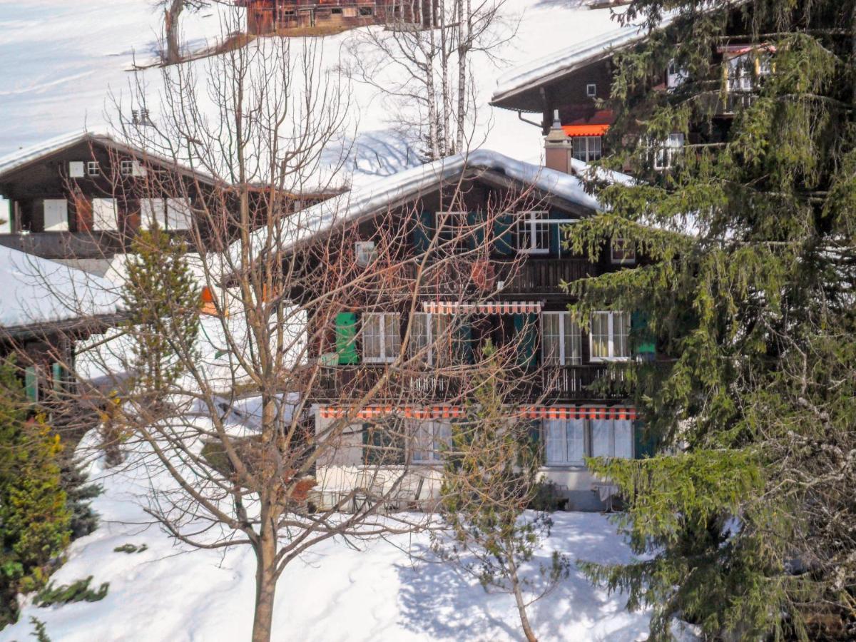 Apartment Chalet Spassvogel By Interhome Grindelwald Bagian luar foto