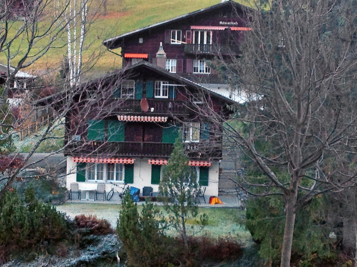 Apartment Chalet Spassvogel By Interhome Grindelwald Bagian luar foto