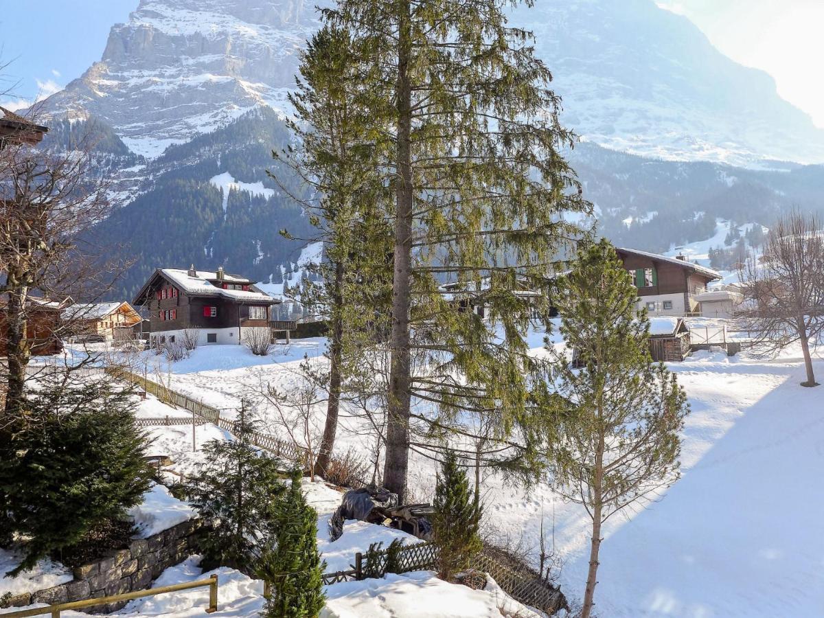 Apartment Chalet Spassvogel By Interhome Grindelwald Bagian luar foto