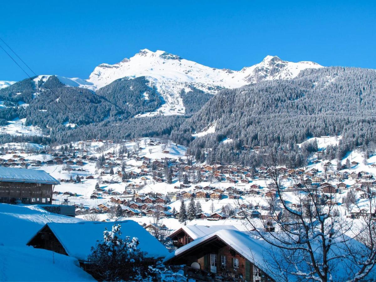 Apartment Chalet Spassvogel By Interhome Grindelwald Bagian luar foto